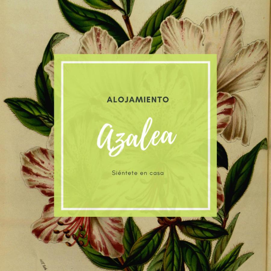 Apartment Atico Azalea - Corazon Del Carmen, Doble Balcon, Wifi